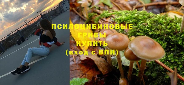 МДПВ Алексеевка