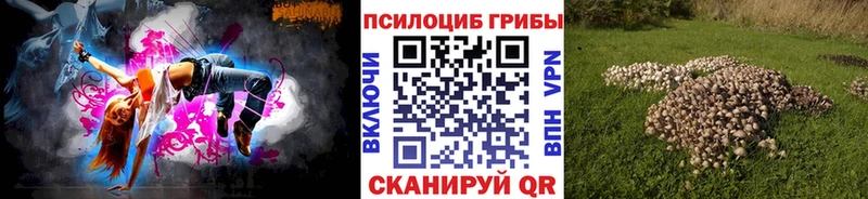 цена наркотик  гидра tor  Псилоцибиновые грибы ЛСД  Ставрополь 