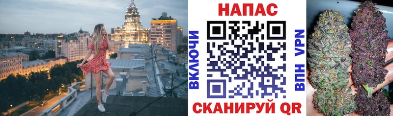 Марихуана ГИДРОПОН  купить наркотики сайты  Ставрополь 
